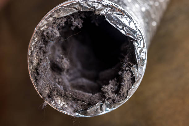 Best Home Air Vent Cleaning  in Kaaawa, HI