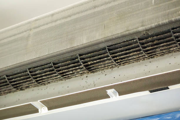 Best Commercial HVAC Duct Cleaning  in Kaaawa, HI