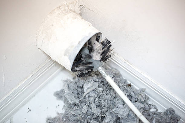 Best Duct Cleaning for Homes  in Kaaawa, HI